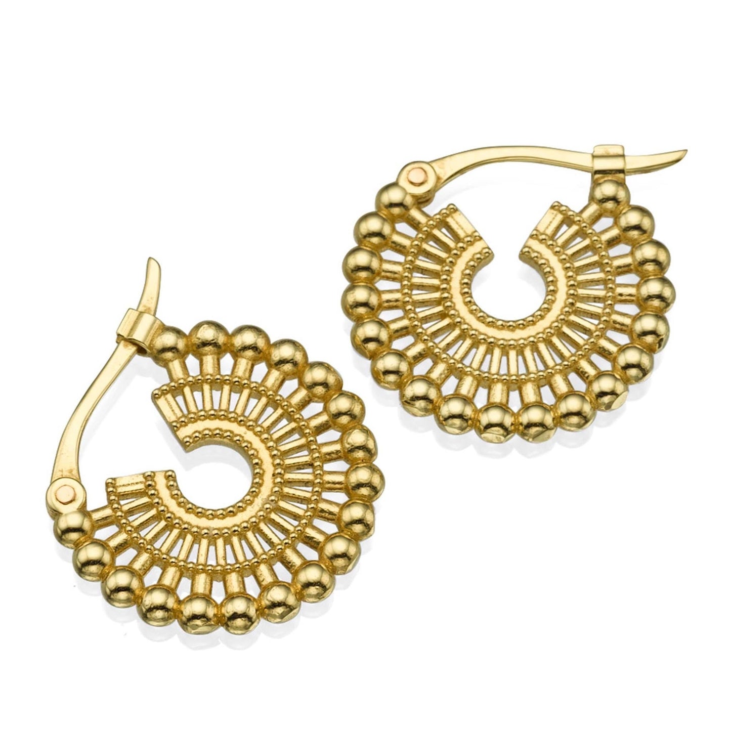 Gold Hoop Earrings